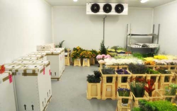 0947459479 Lắp đặt kho lạnh bảo quản hoa  tươi tại Đà Lạt