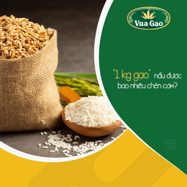 1kg gạo nấu được bao nhiêu chén cơm? Nấu cơm số lượng lớn cần biết 