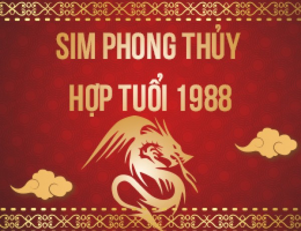 3 điều cần biết khi mua số điện thoại hợp tuổi Mậu Thìn giá rẻ tại Kiên Giang