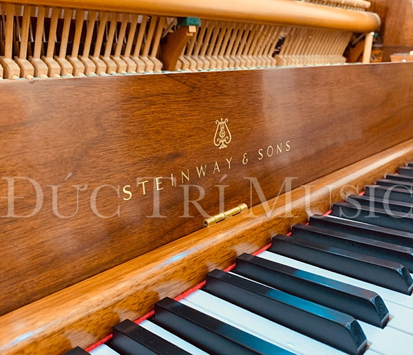 4 lời khuyên cho việc mua piano cơ cũ sẽ giúp ích bạn