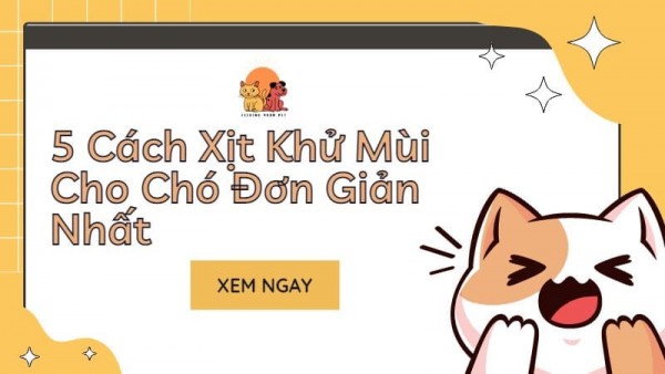 5 Cách khử mùi cho chó đơn giản nhất