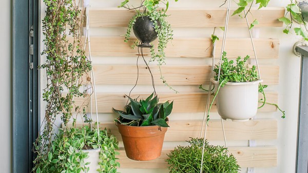 5 lưu ý giúp bạn sở hữu khung cửa sổ đẹp mát mắt