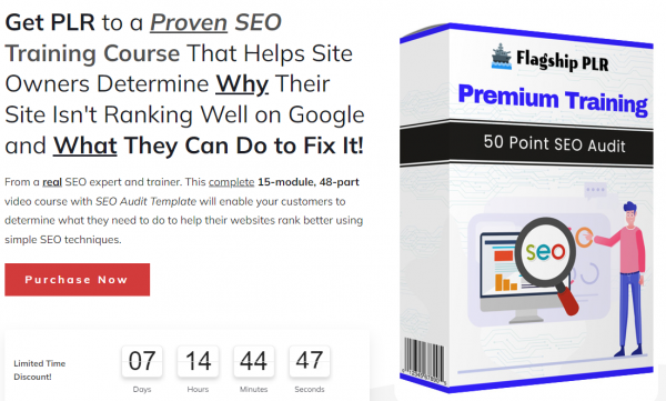 50 Point SEO Audit Flagship PLR OTO Upsells + VIP 2,000 Bonuses