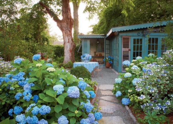 7 lời khuyên hữu ích giúp khu vườn luôn xanh ngát