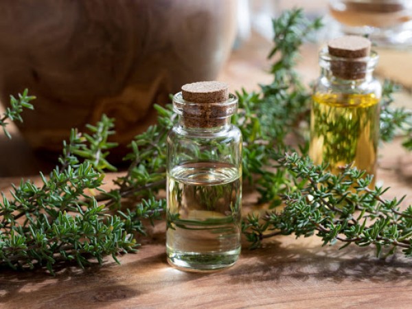 8 công dụng của tinh dầu cỏ xạ hương với sức khỏe