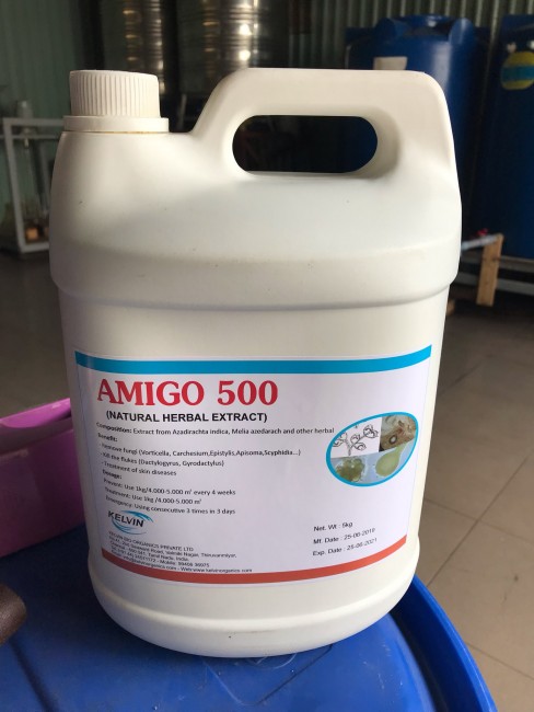 AMIGO 500  đặc trị sán trên tôm cá 