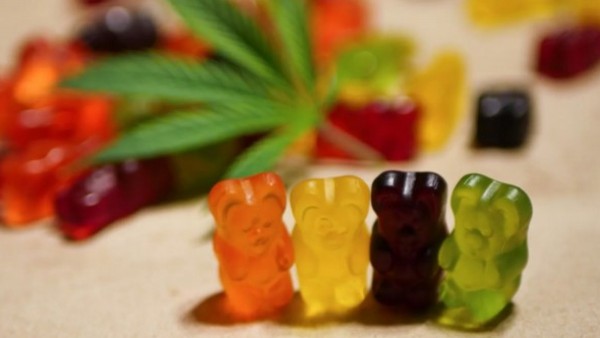 Animale CBD Gummies : Cost And Purchase - Official Site