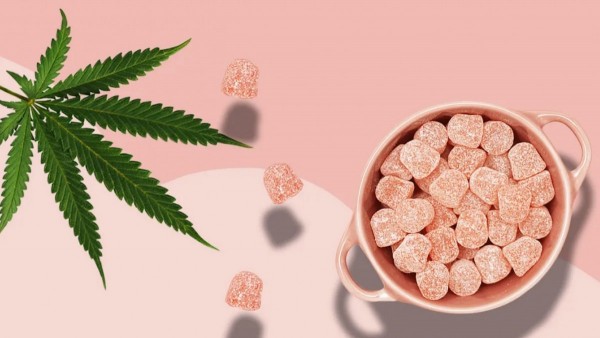 Animale CBD Gummies Fixings: Would They Say They Are Protected And Successful?