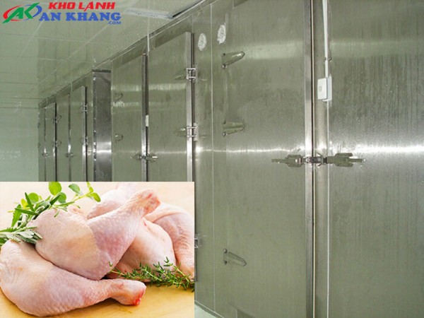 ankaco chuyên thi công kho lạnh bảo quản thịt gà tại tp.hcm