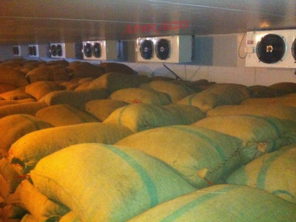 ANKACO-Lắp đặt cụm máy nén Tecumseh 5 HP TAG4561ZHREP cho khu công nghiệp