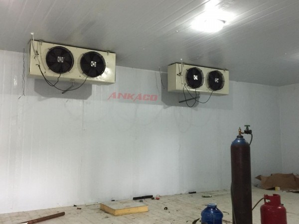 ANKACO-Thi công, lắp đặt  kho lạnh trữ sầu riêng Công ty Gia Nguyễn tại Đăk Lăk