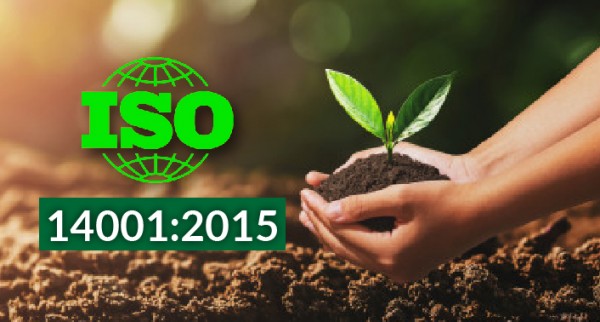 Áp dụng ISO 14001 tại Việt Nam có thuận lợi gì?