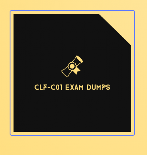 AWS Certified Cloud Practitioner CLF-C01 Exam Dumps  