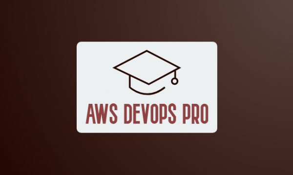 AWS Devops Pro feature aggregation