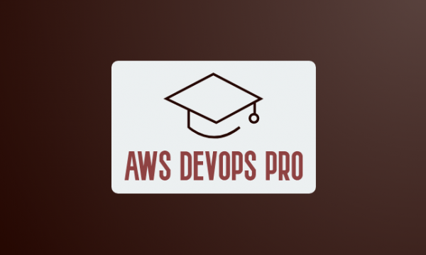 AWS Devops Pro Training Mode