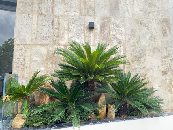 Ba lỗi cơ bản của bơm chìm và cách khắc phục