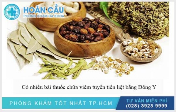 Bài thuốc chữa viêm tuyến tiền liệt bằng Đông Y hiệu quả