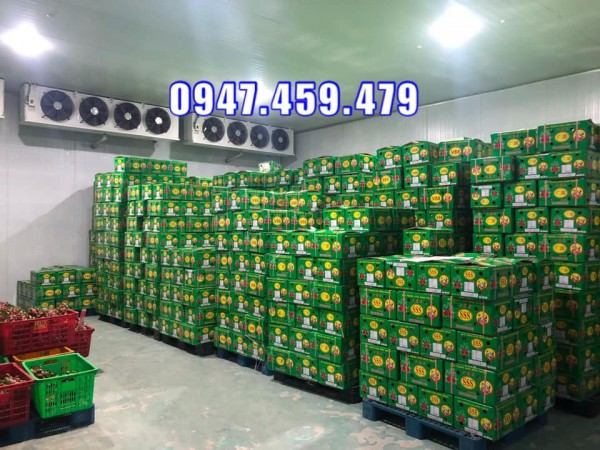 Bàn giao kho lạnh bảo quản thanh long