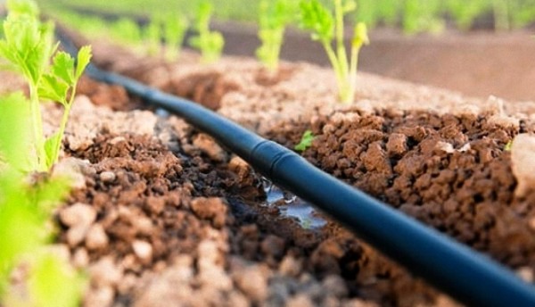 Bán hệ thống tưới nhỏ giọt Azud Tây Ban Nha tại Hà Nội