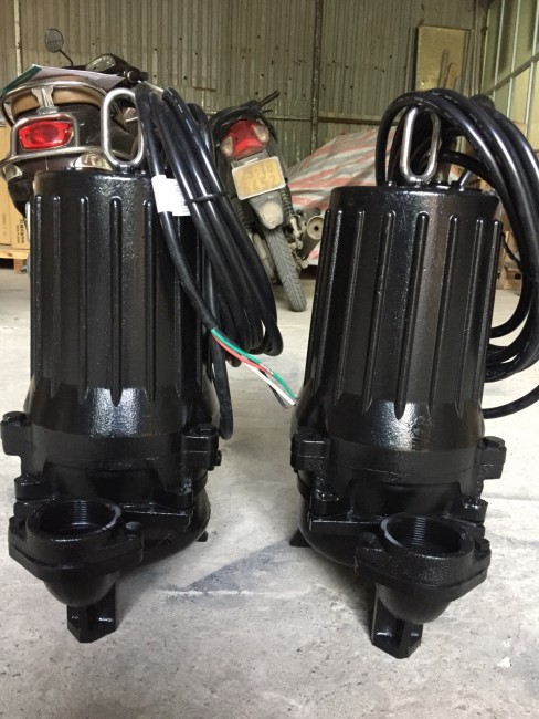 Bán máy bơm Tsurumi 50U2.75 xuất xứ Japan LH: 0983.480.896 