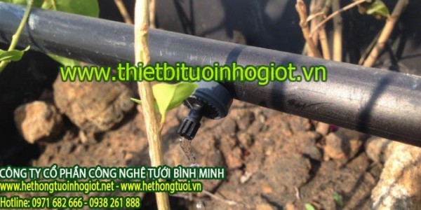 Bán thiết bị tưới nhỏ giọt tiêu chuẩn châu Âu,ưu điểm tưới nhỏ giọt,tưới nhỏ giọt loại tốt