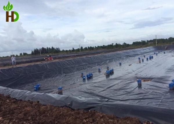 Bảng giá bạt HDPE lót hồ nuôi tôm
