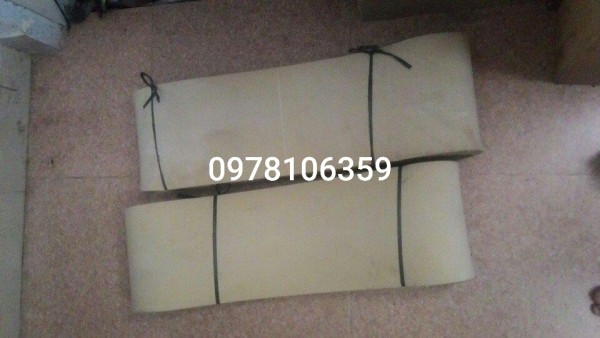 Băng tải máy tách xương cá, Băng tải 20cm/ băng tải máy ép xương cá biển, băng tải 20cm