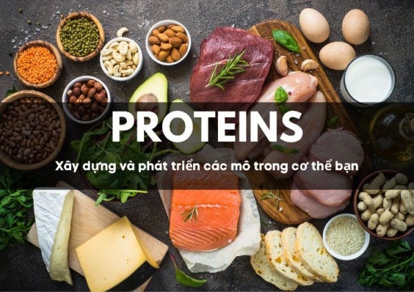 bánh protein, giải pháp cho việc tăng cân