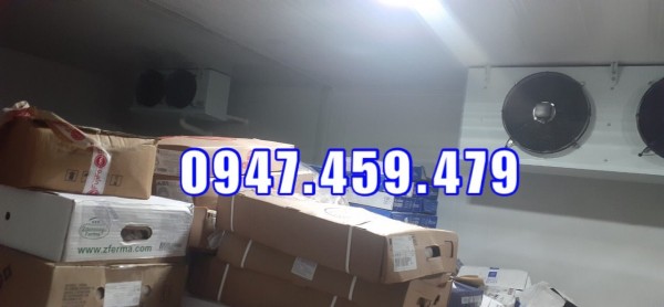Báo giá kho lạnh bảo quản xúc xích đông lạnh