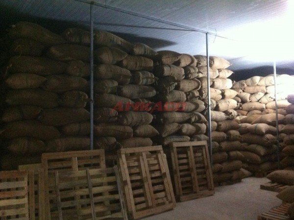 báo giá lắp đặt kho lạnh bảo quản nông sản tại daklak