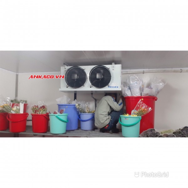 Báo giá trọn gói kho lạnh bảo quản hoa tươi tại quận 8