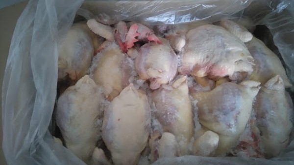 Báo giá trọn gói kho lạnh bảo quản thịt gà