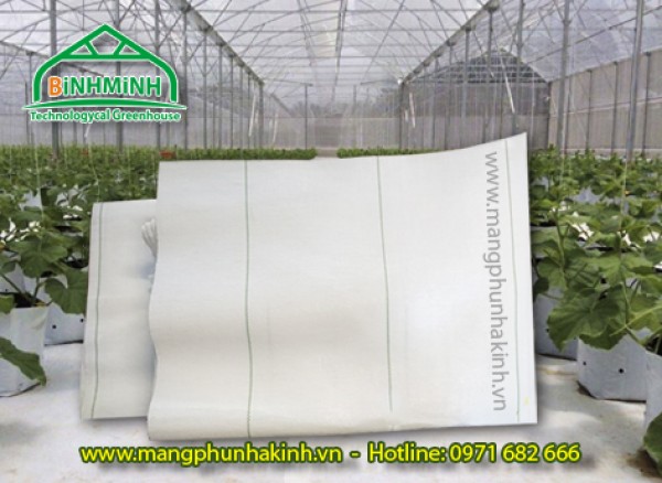 Bạt trải nền nông nghiệp Bình Minh,bạt trải nền nhà kính,bạt địa nông nghiệp,bạt địa nhà màng
