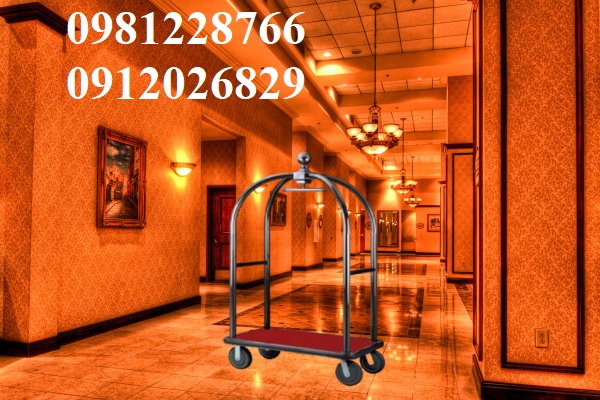 Bí quyết mua xe kéo hành lý cực chuẩn không phải ai cũng biết