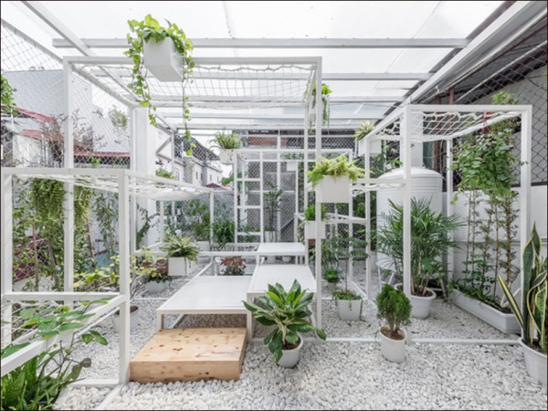 Biến không gian khu vườn trở nên tươi mới, sinh động