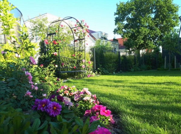 Biến khu vườn thành một bức tranh mà ai cũng phải ngắm nhìn