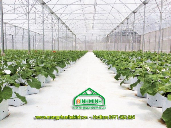 Bình Minh cung cấp bạt trải nền,bạt trải nền nhà kính,bạt lót nền chống cỏ,bạt địa nhà màng