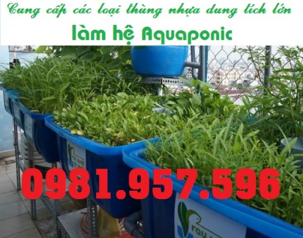 Bồn chữ nhật 100L, bồn chữ nhật 200L, bể nhựa chữ nhật