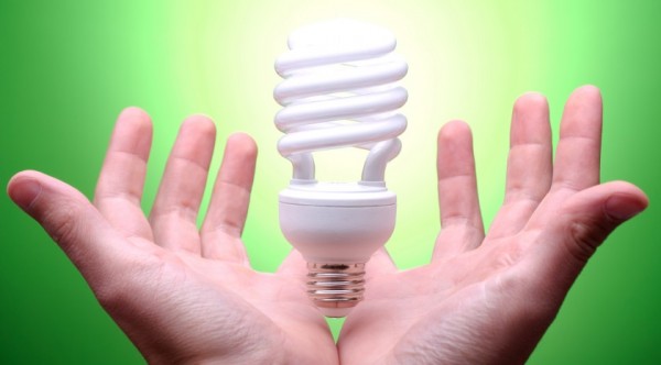 Bóng đèn tiết kiệm điện ngày càng hút thị trường