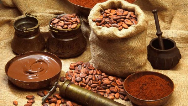 Bột cacao là gì? Có tốt cho sức khỏe không?