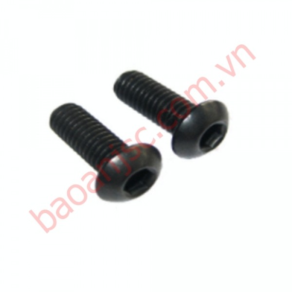 Bu lông lục giác chìm chỏm cầu BHC-BO-M10x45