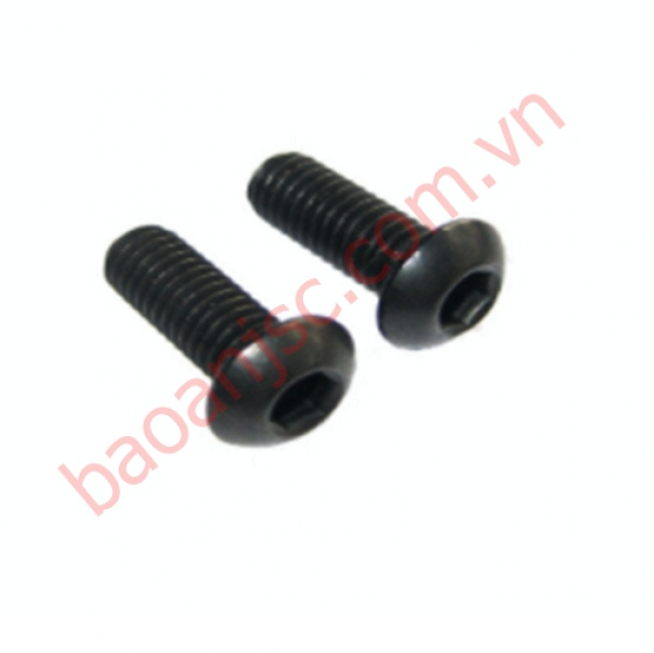 Bu lông lục giác chìm chỏm cầu BHC-BO-M4x30