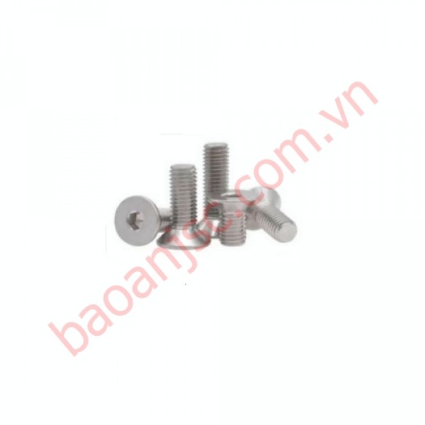 Bu lông lục giác chìm đầu bằng FHC-304 series FHC-304-M2x22