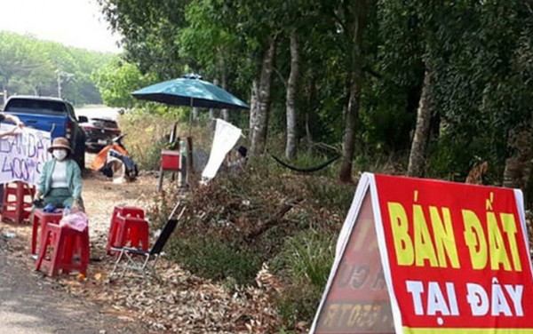 Bước tăng mạnh mẽ của thị trường bất động sản