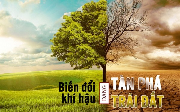 Các thành phố xanh ra đời vì các vấn đề biến đổi khí hậu