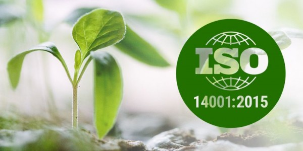 Cách thức hoạt động của ISO 14001
