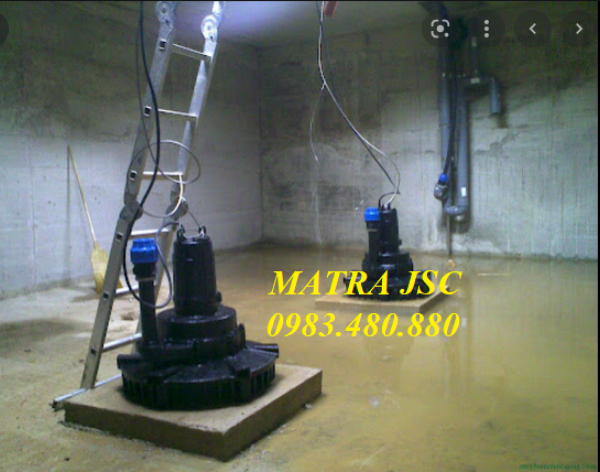 Call/Zalo: 0983.480.880 *Báo giá máy sục khí chìm đa tia Tsurumi 80TRN47.5*