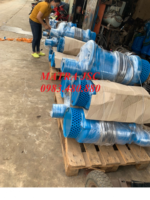 Call/Zalo: 0983480880- Bán máy bơm cấp nước thủy điện Tsurumi LH615, công suất 15kw*