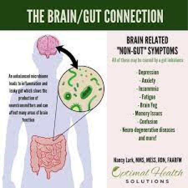 Can gut bacteria affect mental health?