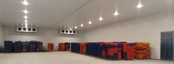 Cần mua kho lạnh cũ giá tốt